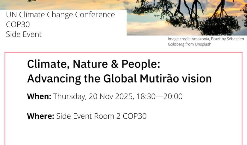 Climate, Nature and People: Advancing the Global Mutirão Vision